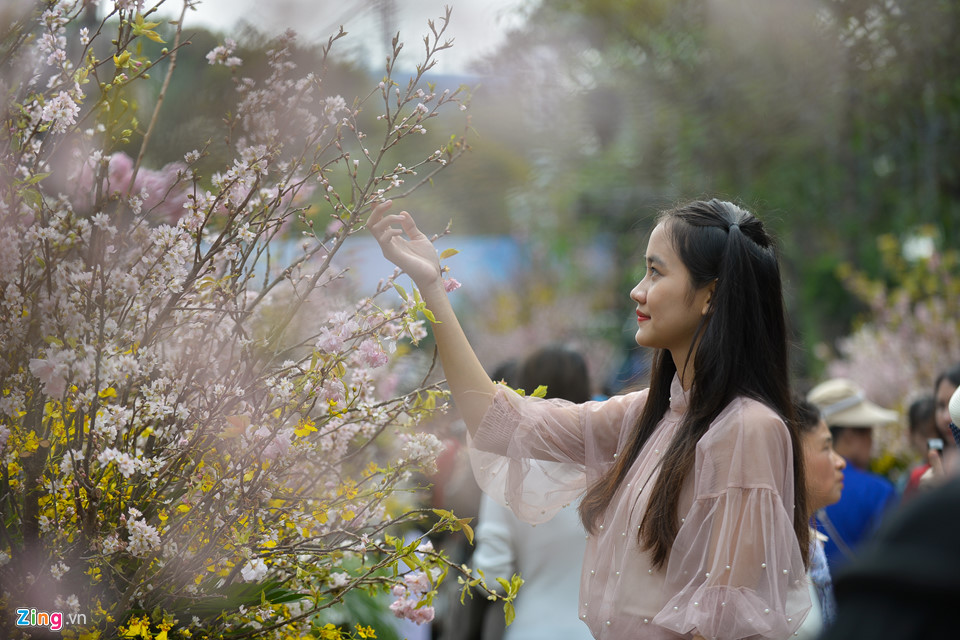 Lễ hội hoa anh đào bên hồ Gươm đông nghẹt du khách